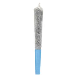 Potluck | Blue Lagoon Thunder Infused Pre-Roll | 1x0.5g PROMO ~