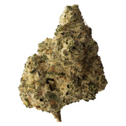 The Loud Plug | Lemon Gelato Craft Flower | 28g PROMO