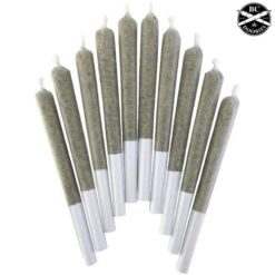 BC Doobies | Blue Maui Pre-Roll | 10x0.5g