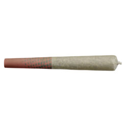 Big Bag O' Buds | Blueberry Dream Pre-Rolls | 10x0.5g