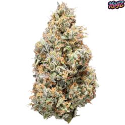 Nugz | Sativa (Rotating Strain) Flower | 14g