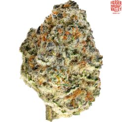 Fraser Valley | Strawberry Amnesia Flower | 28g