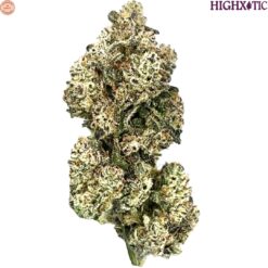 HighXotic | Royal Dive #5: Purple Zombie Craft Flower | 14g