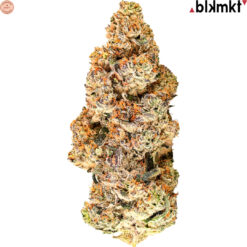 BLK MKT | Zoy Sauce Craft Flower | 7g