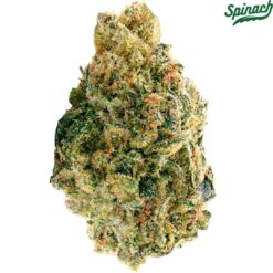 Spinach | Sour Chem Flower | 28g PROMO