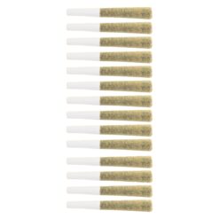 The Loud Plug | Platinum Punch Pre-Rolls | 14x0.5g