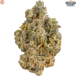 Broken Coast | La Bomba Craft Flower | 3.5g
