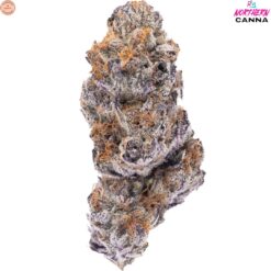 Northern Canna | Hot Rod Craft Flower | 3.5g PROMO ~