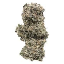 1964 | Kush Mints Craft Flower | 7g PROMO