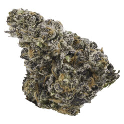 EastCann | Gastro Pop Craft Flower | 14g