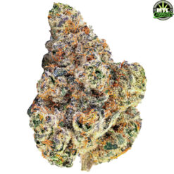 MTL Cannabis | Gas N Up Flower | 3.5g