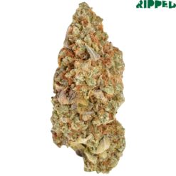 Ripped | Ripped Sativa Flower | 3.5g