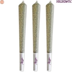 HighXotic | Royal Ace #5: Purple Zombie Pre-rolls | 3x0.5g