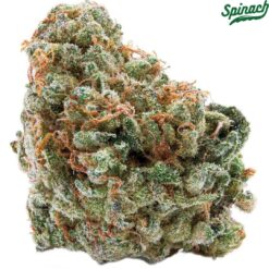 Spinach | Wedding Cake Flower | 28g PROMO