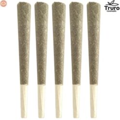 Truro | Jealousy Hash Infused Pre-Rolls | 5x0.5g