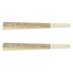 Stunnerz | Pineapple Blitz Pre-Rolls | 2x1g