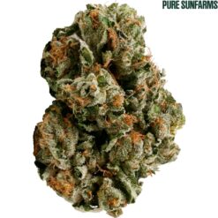 Pure Sunfarms | Pink Kush Flower | 3.5g