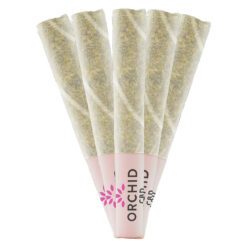 Orchid CBD | CBD Runtz Pre-Rolls | 5x0.6g
