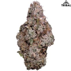 Tribal | Porto Leche Flower | 3.5g