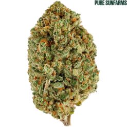 Pure Sunfarms | Pure Sun CBD Flower | 3.5g