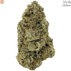 Woody Nelson | 33 Splitter Craft Flower | 3.5g