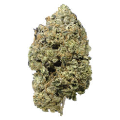 Pistol and Paris | Pink Goo Craft Flower | 14g