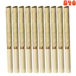 xBack Forty | Backpackers (Liquid Imagination) Pre-Rolls | 10x0.75g