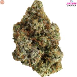 Northern Canna | Permanent Marker Craft Flower | 3.5g PROMO
