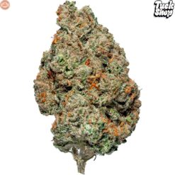 Tuck Shop | Valley Girl Craft Flower | 7g