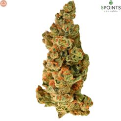 5 Points Cannabis | Sacre Bleu Craft Flower | 3.5g