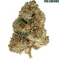 Pure Sunfarms | Pink Rhino Flower | 28g PROMO