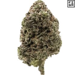 FIGR | Jungle Fumes Flower | 3.5g PROMO