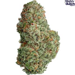 Highly Dutch | Amsterdam Sativa Flower | 28g