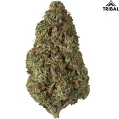 Tribal | Cuban Linx Flower | 3.5g