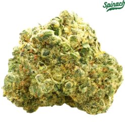 Spinach | OG Kush Flower | 7g