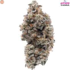 Northern Canna | Frosted Guava Nuts Craft Flower | 3.5g PROMO