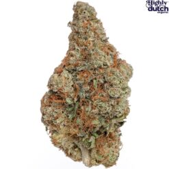 Highly Dutch | Rotterdam Indica Flower | 28g