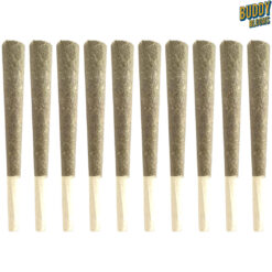 xBuddy Blooms | 10th Planet Pre-Rolls | 10x0.5g