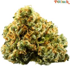 Potluck | Pineapple Express Flower | 7g