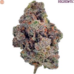 HighXotic | Royal Dive#4: Goofiez Craft Flower | 3.5g