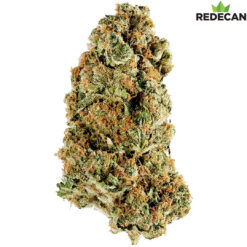 Redecan | Animal Rntz  Flower | 14g