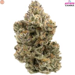 Northern Canna | Pineapple Bang Craft Flower | 14g PROMO
