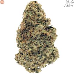 Woody Nelson | Warehouse Premium Smalls Craft Flower | 3.5g~