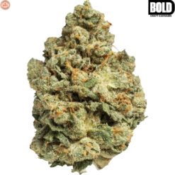 BOLD | Root Beer Float Craft Flower | 7g