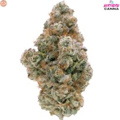 Northern Canna | Galactic Guava Craft Flower | 3.5g PROMO