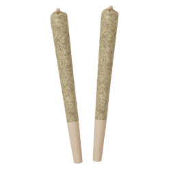 Standard Issue | Bing Cherry Infused Pre-Rolls | 2x0.5g