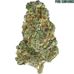 Pure Sunfarms | Big White Flower | 28g PROMO ~