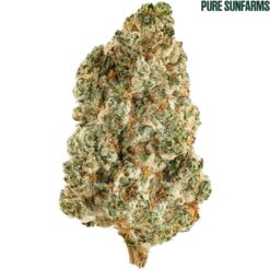 Pure Sunfarms | Kush God Flower | 7g