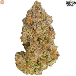 Broken Coast | Coffee Creamer Craft Flower | 3.5g