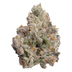 FOUR54 | Cherry Bang Bang Craft Flower | 3.5g